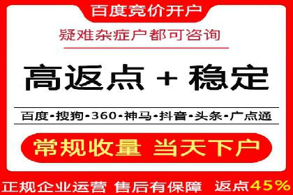 SEM推广优化策略：成功案例解析